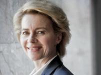 2013vdleyen